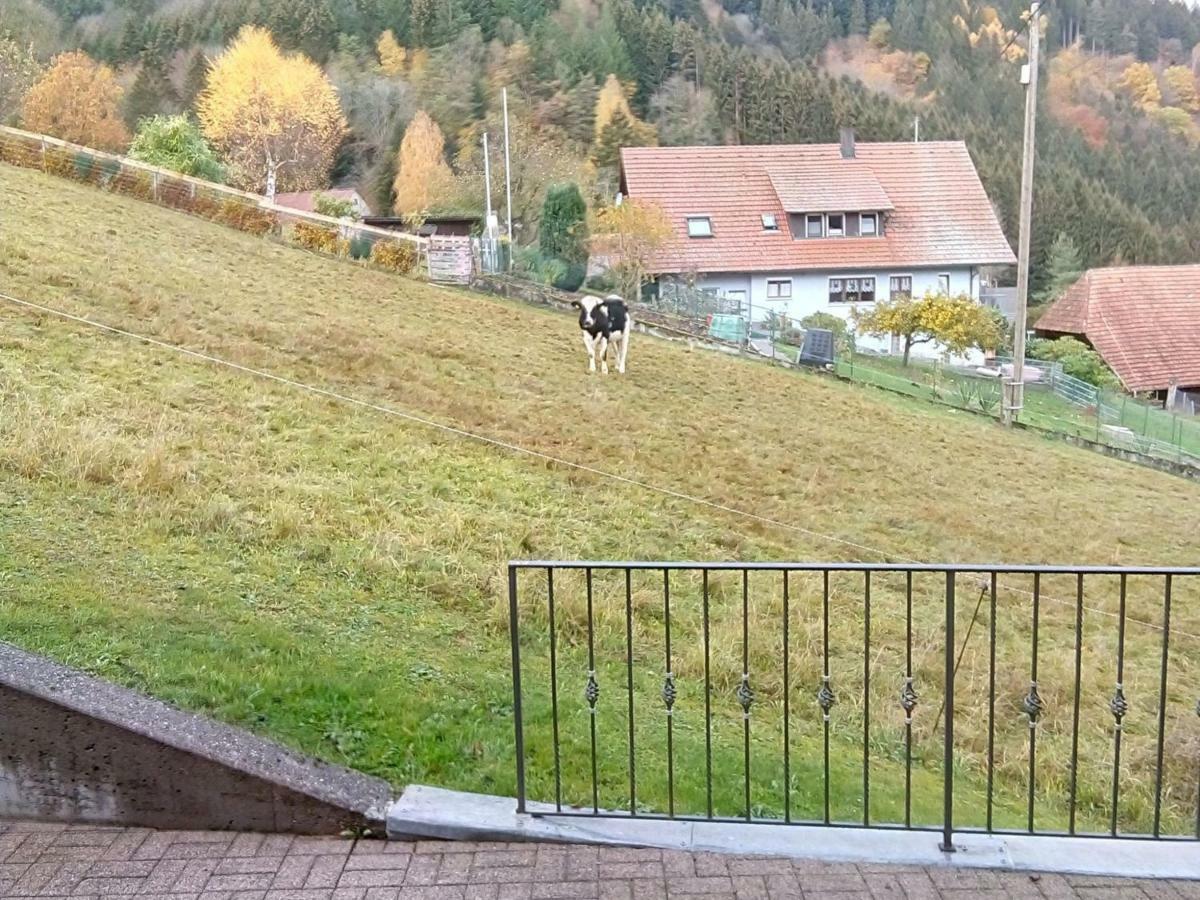 Ferienwohnung Morgensonne Wolfach Exteriér fotografie